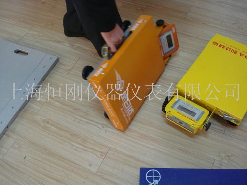計重電子臺秤